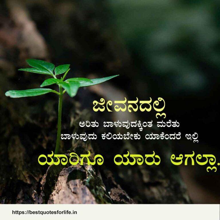 Motivation quote about life in Kannada with image - 1