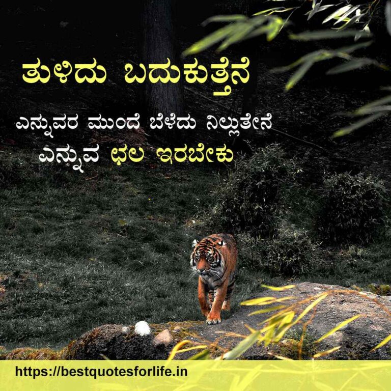 motivational quotes in Kannada-15
