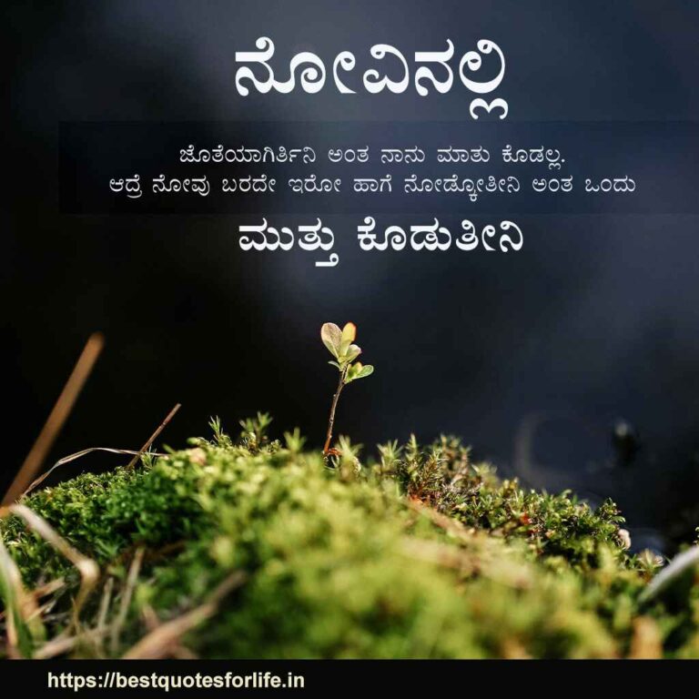 Motivation quote about life in Kannada with image - 3